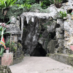 Thủy Tiên sơn động - Yên Bình - Yên Bái