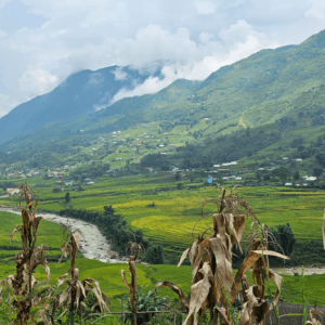 Lao Chai Valley View