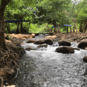 Thượng Nguồn Bãi Tắm Suối Thiên Nhiên