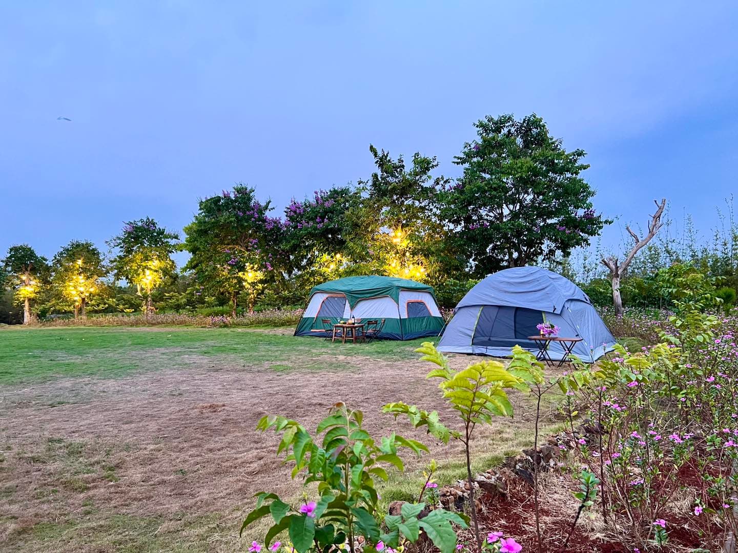 Covy Farm Vũng Tàu