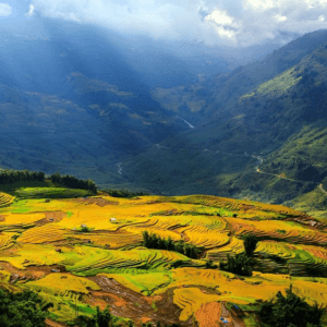 Thung Lũng Mường Hoa - Sa Pa - Lào Cai