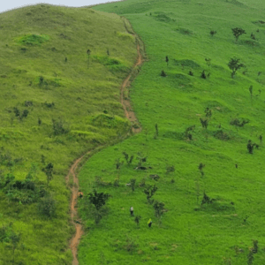 Trekking Thảo nguyên Pal Sol