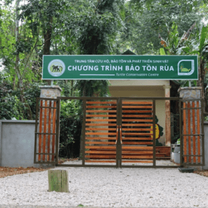 Trung tâm Bảo tồn Rùa Ninh Bình