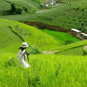 Đồng cỏ Sao Đỏ - Mộc Châu - Sơn La