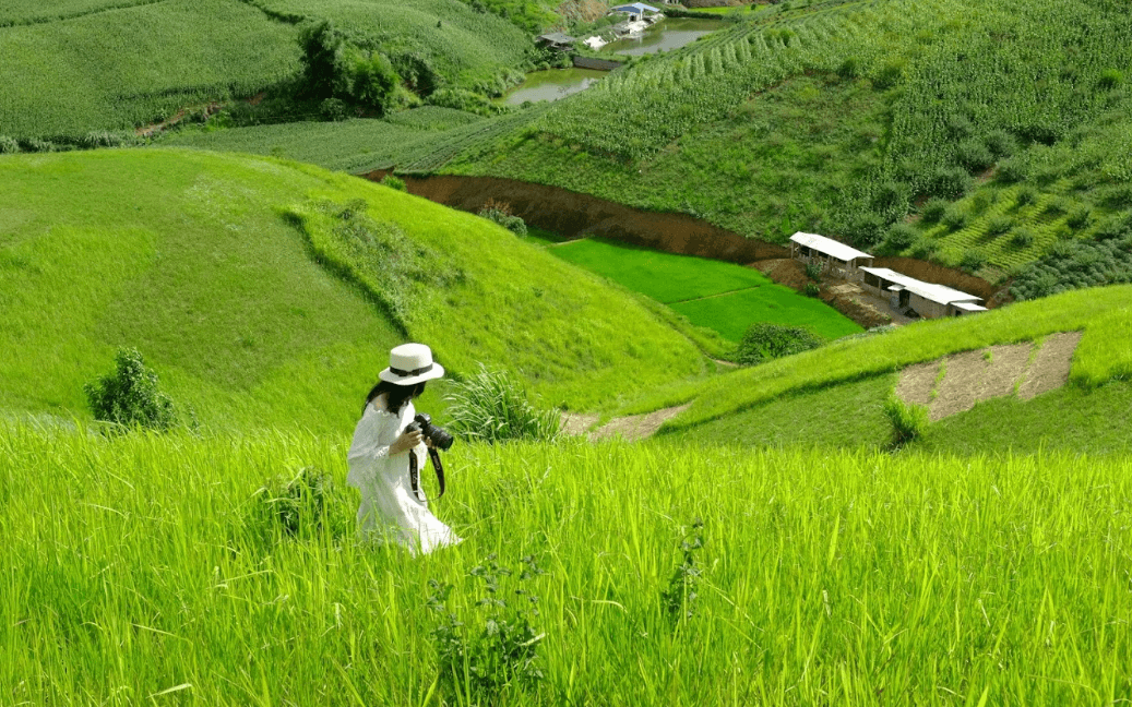 Đồng cỏ Sao Đỏ - Mộc Châu - Sơn La
