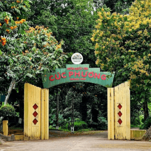 Trekking Vườn Quốc Gia Cúc Phương