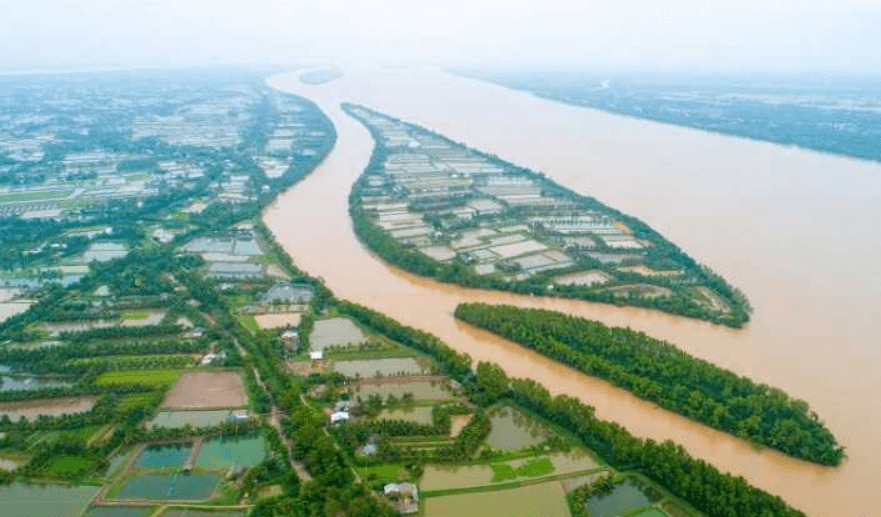 Cù lao Tân Quy