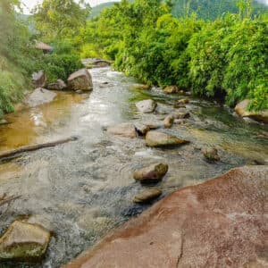 Suối đầu nguồn Krông Bông
