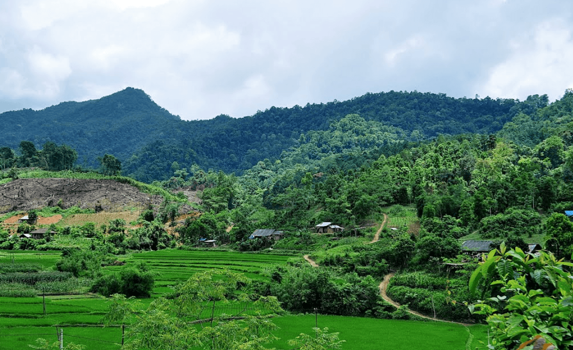 Khu bảo tồn thiên nhiên Kim Hỷ