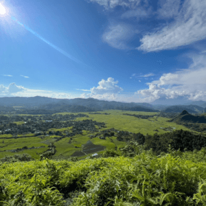 Đệ nhất View Hua than