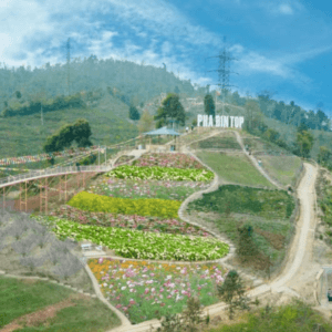Pha Đin Top - Thuận Châu - Sơn La