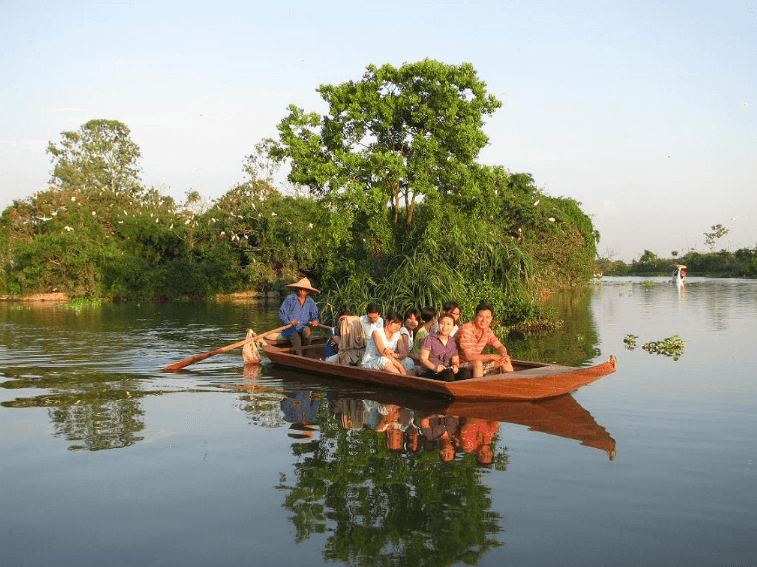 Đảo Cò Chi Lăng Nam - Thanh Miện - Hải Dương