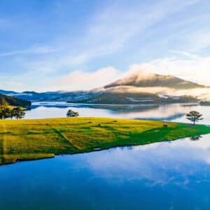 Đường Vào Cây Thông Cô Đơn (mới )