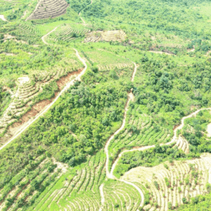 Trạm điện mặt trời Tà Lèng