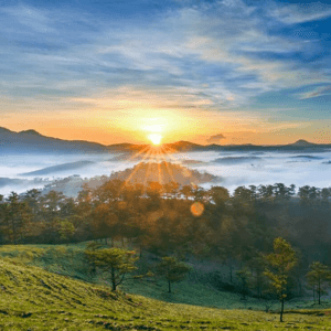 Đồi Đa Phú Đà Lạt