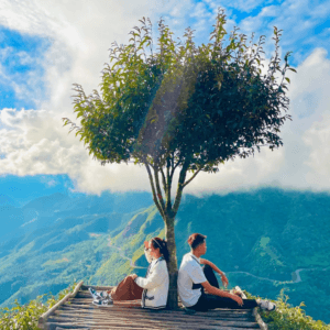 Cây cô đơn Sapa - Tam Đường - Lào Cai