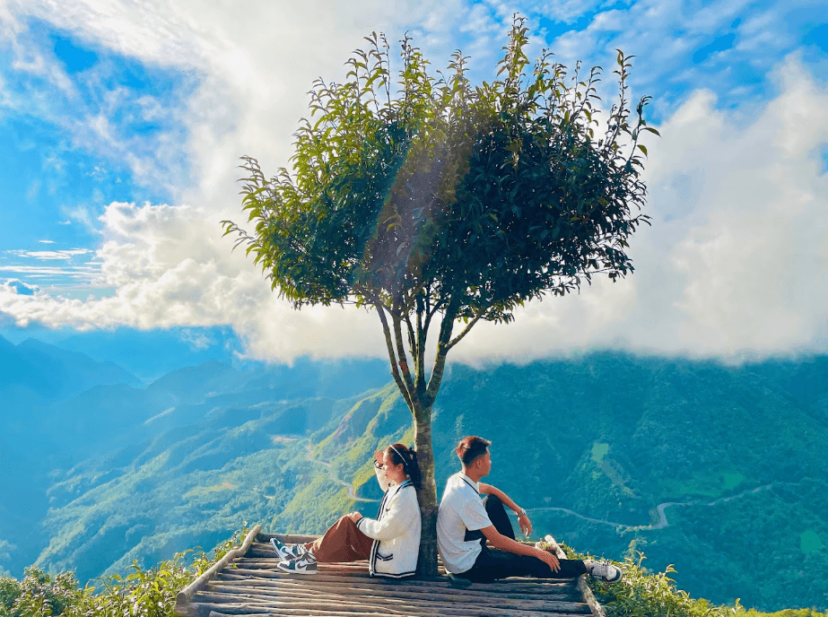 Cây cô đơn Sapa - Tam Đường - Lào Cai