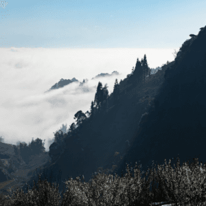 Điểm săn mây Tả Van Chư