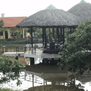 Cù lao Long Trị