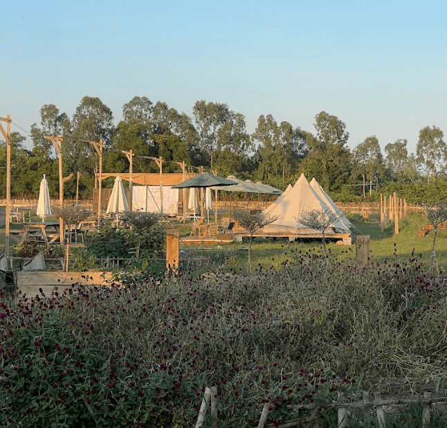 Sam Camping Hải Phòng