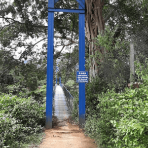 Cầu treo Đăk Pui - Kon Rẫy - Kon Tum