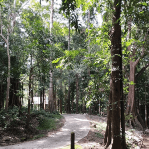 Trung tâm Du lịch sinh thái - Sa Thầy - Kon Tum
