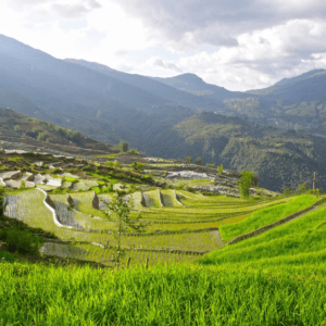 Góc nhìn quốc dân Bát Xát