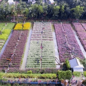 Mãn Đình Hồng Garden - Châu Thành - Tiền Giang