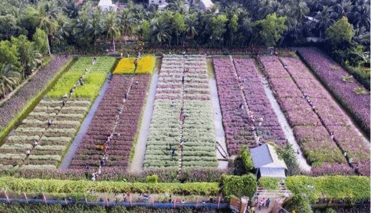 Mãn Đình Hồng Garden - Châu Thành - Tiền Giang