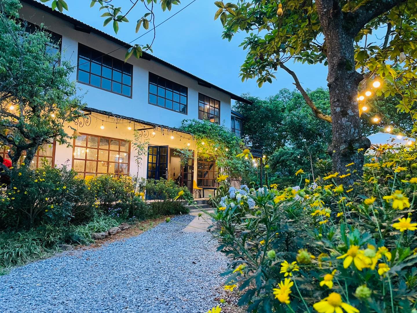 Homestay Vườn của Gấu - Mộc Châu