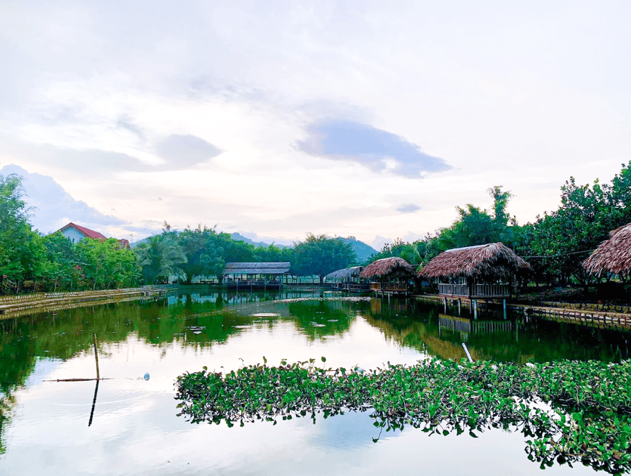 Khu sinh thái câu cá Suối Mơ