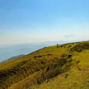 Trekking Núi Đại Bàng