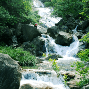 Khu Du lịch Sinh thái Suối Mơ