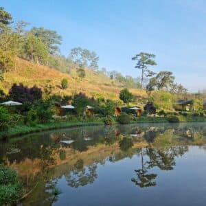 Lat Valley Lạc Dương