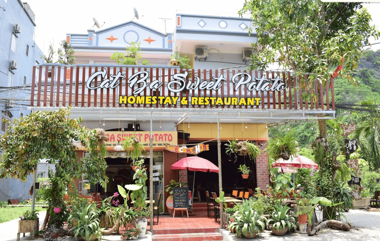 Cát Bà Sweet Potato Homestay & Restaurant
