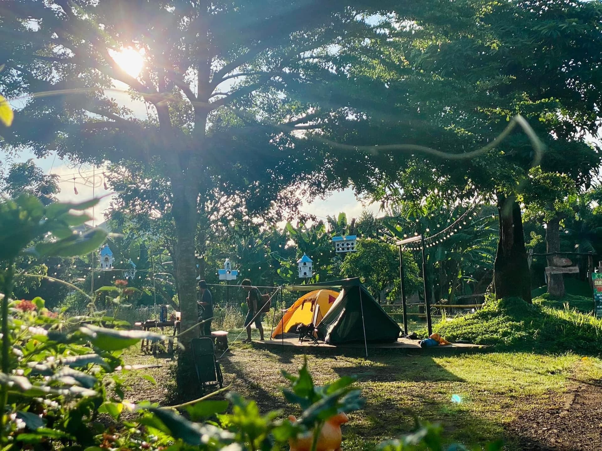 Paksong Farmstay Gia Lai