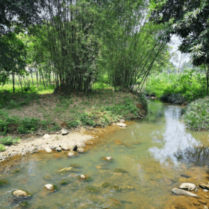 Chiến Khu Vần