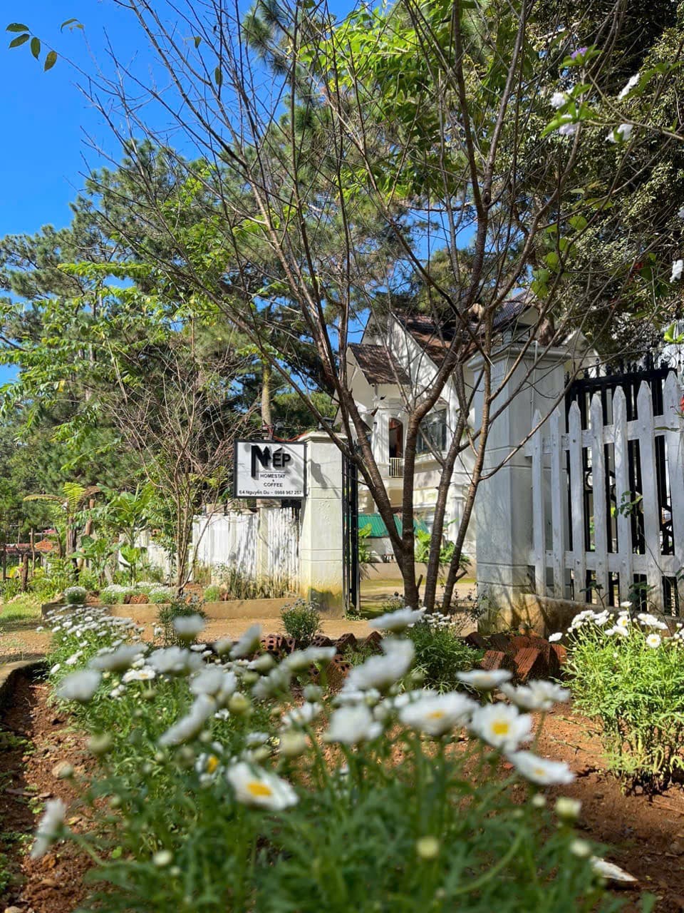 NÉP Homestay Măng Đen