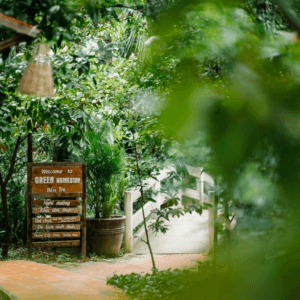 Green homestay Bến Tre - Bến Tre xanh
