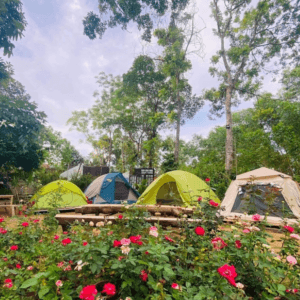 Homestay MêLy