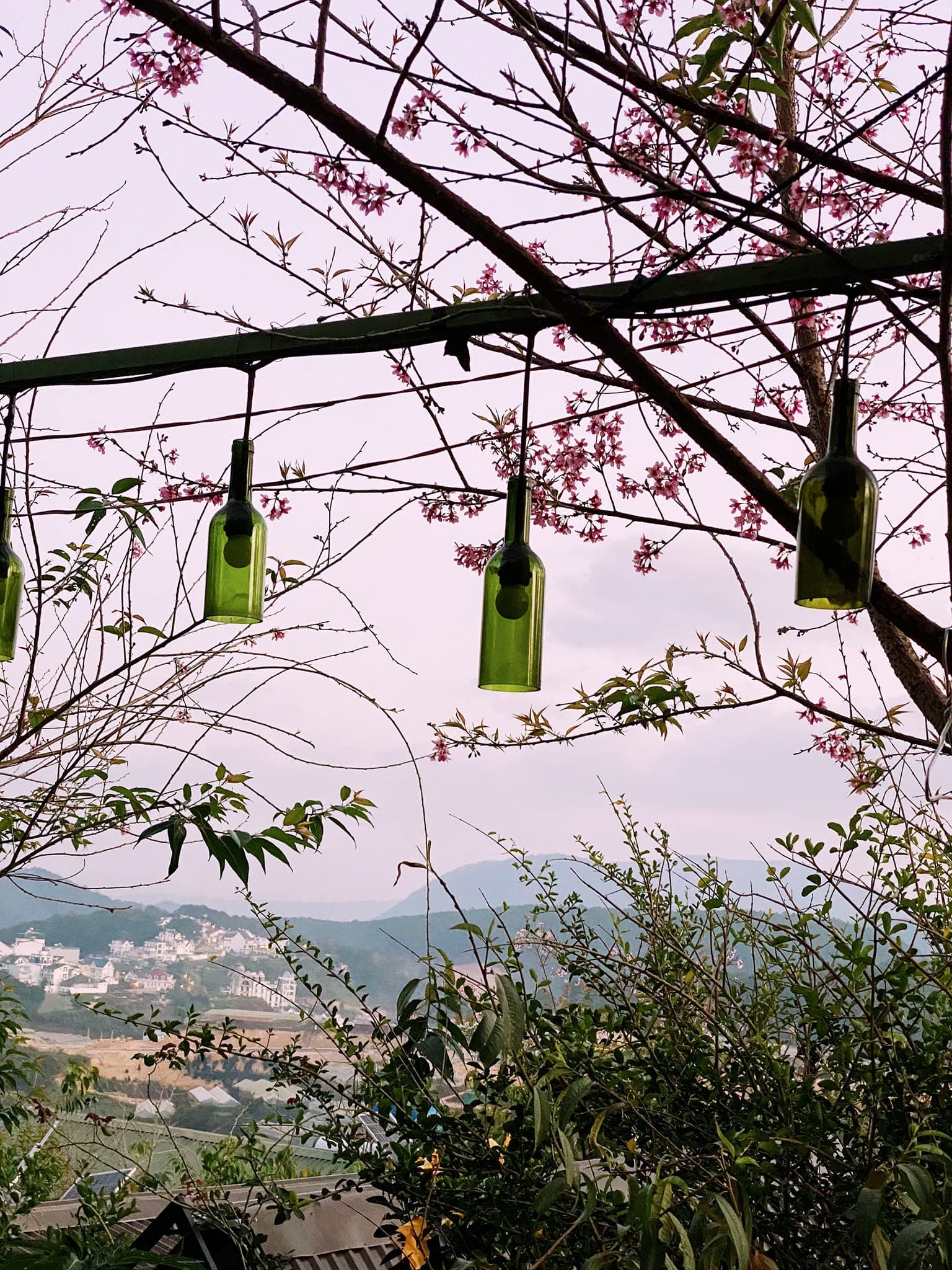 Sweet Home Dalat - Homestay