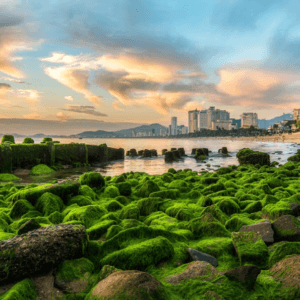 Bãi Rêu Nha Trang