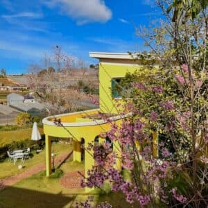 Ami le jaune Da Lat Homestay and Coffee