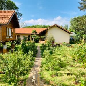 TODO Farm - Organic Farming & Retreat