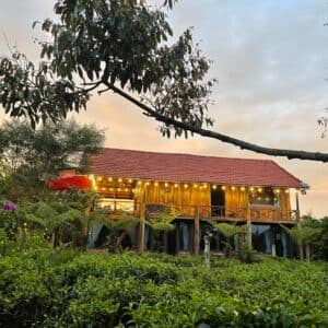 Tea Garden House