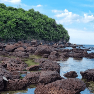 Bãi Đá Biển Rạng