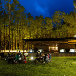Blue Diamond Camp