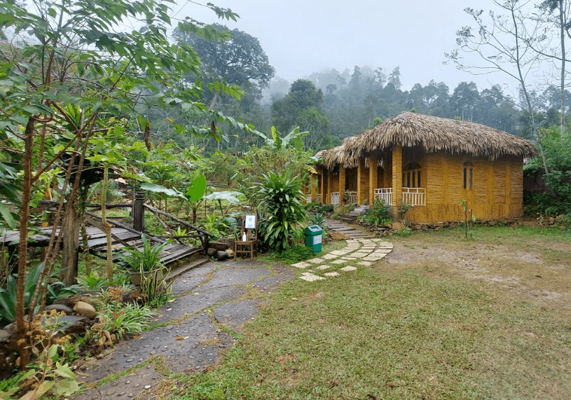 Quỳnh Nga Homestay