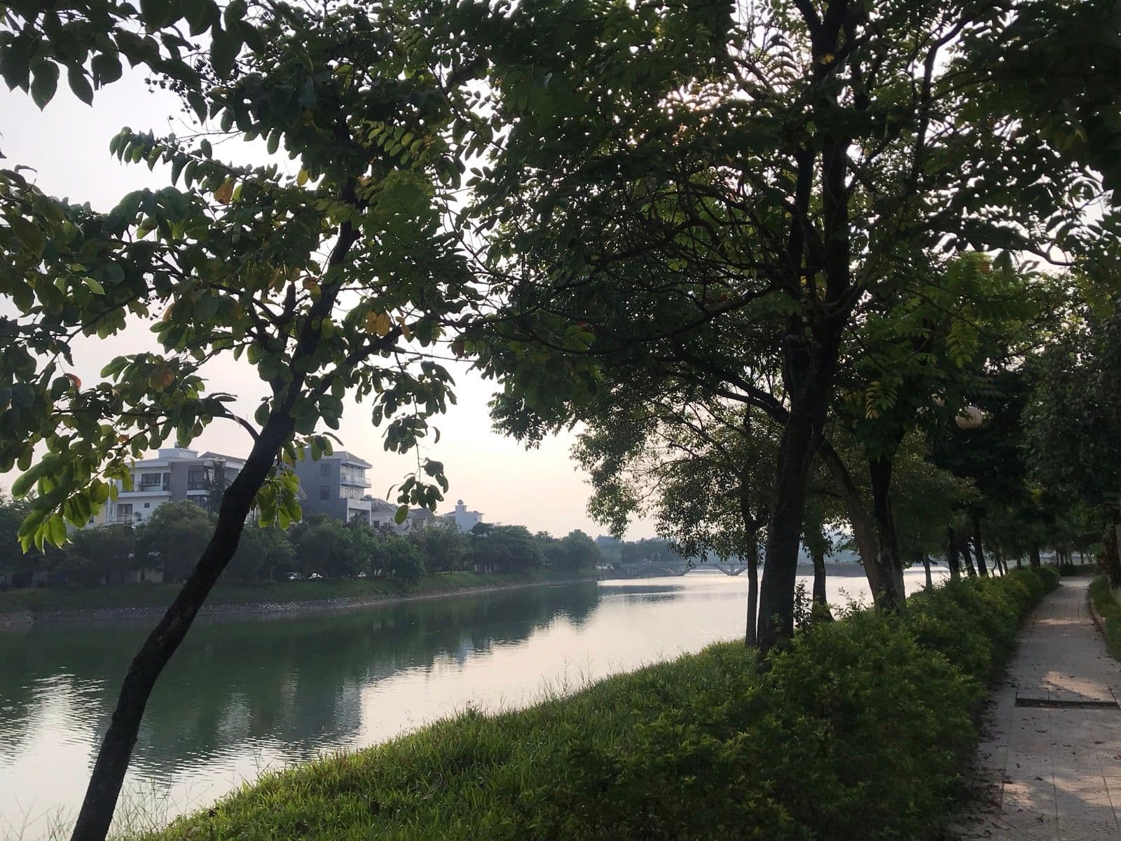 Đường Hùng Vương - DT234