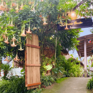 Ginn's House Tả Van